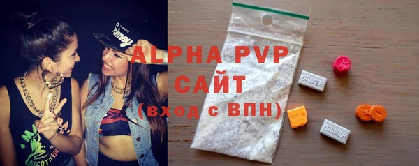 гашик Вязьма