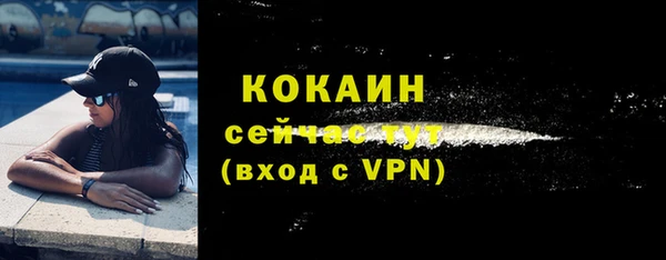гашик Вязьма