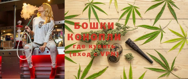 гашик Вязьма