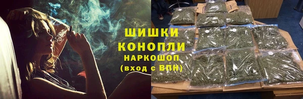 гашик Вязьма