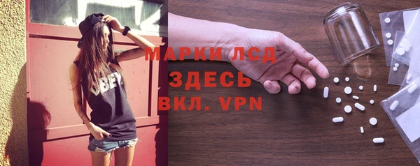 гашик Вязьма